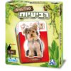 רביעיות בעלי חיים