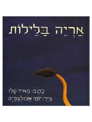 אריה בלילות