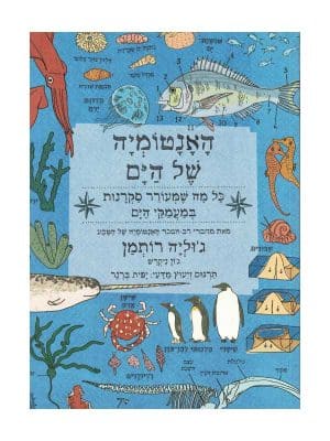 האנטומיה של הים