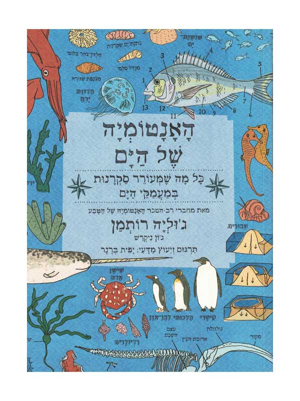 האנטומיה של הים