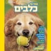 הכול על כלבים