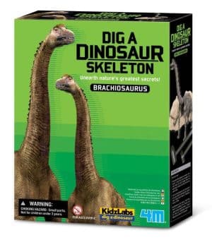 חפירת שלד Brachiosaurus ברכיוזאורוס