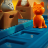 חתולים וקופסאות